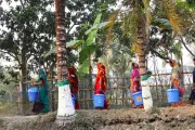 Line of women in colorful saris walking past palm trees holding blue buckets.